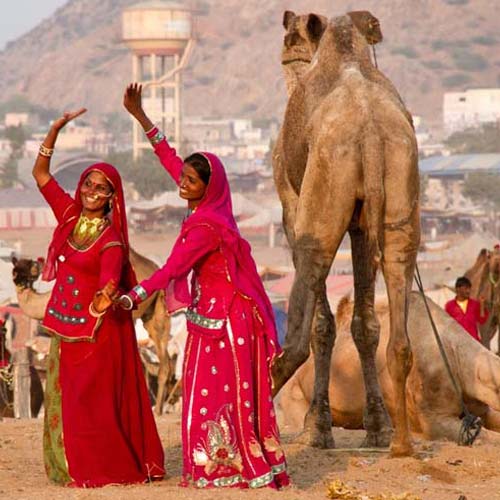 Ajmer Sightseeing Tour